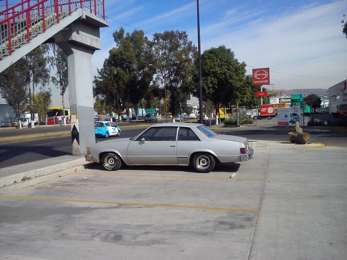 Chevrolet Malibu 1984 foto - 2