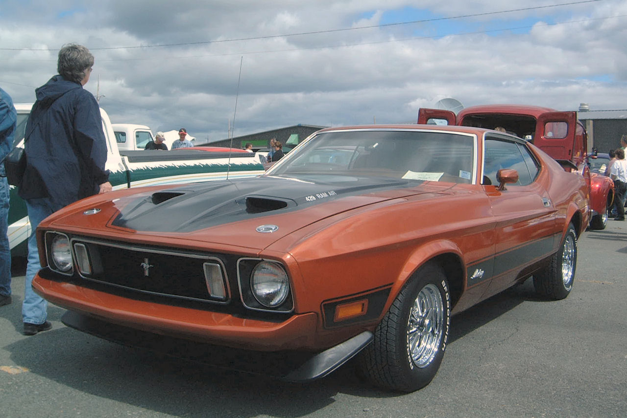 Ford Mustang 1973 foto - 5