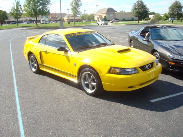 Ford Mustang 2004 foto - 2
