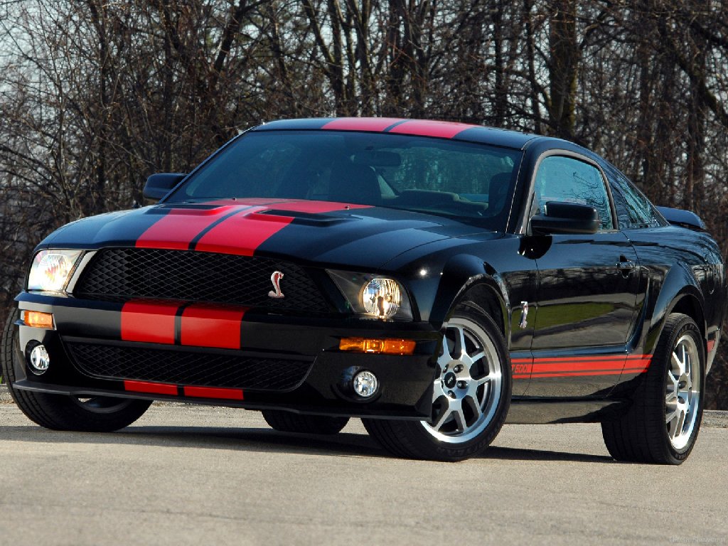 Ford Mustang 2009 foto - 2