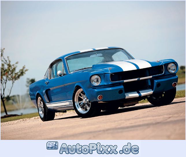 Ford Shelby 1965 foto - 5