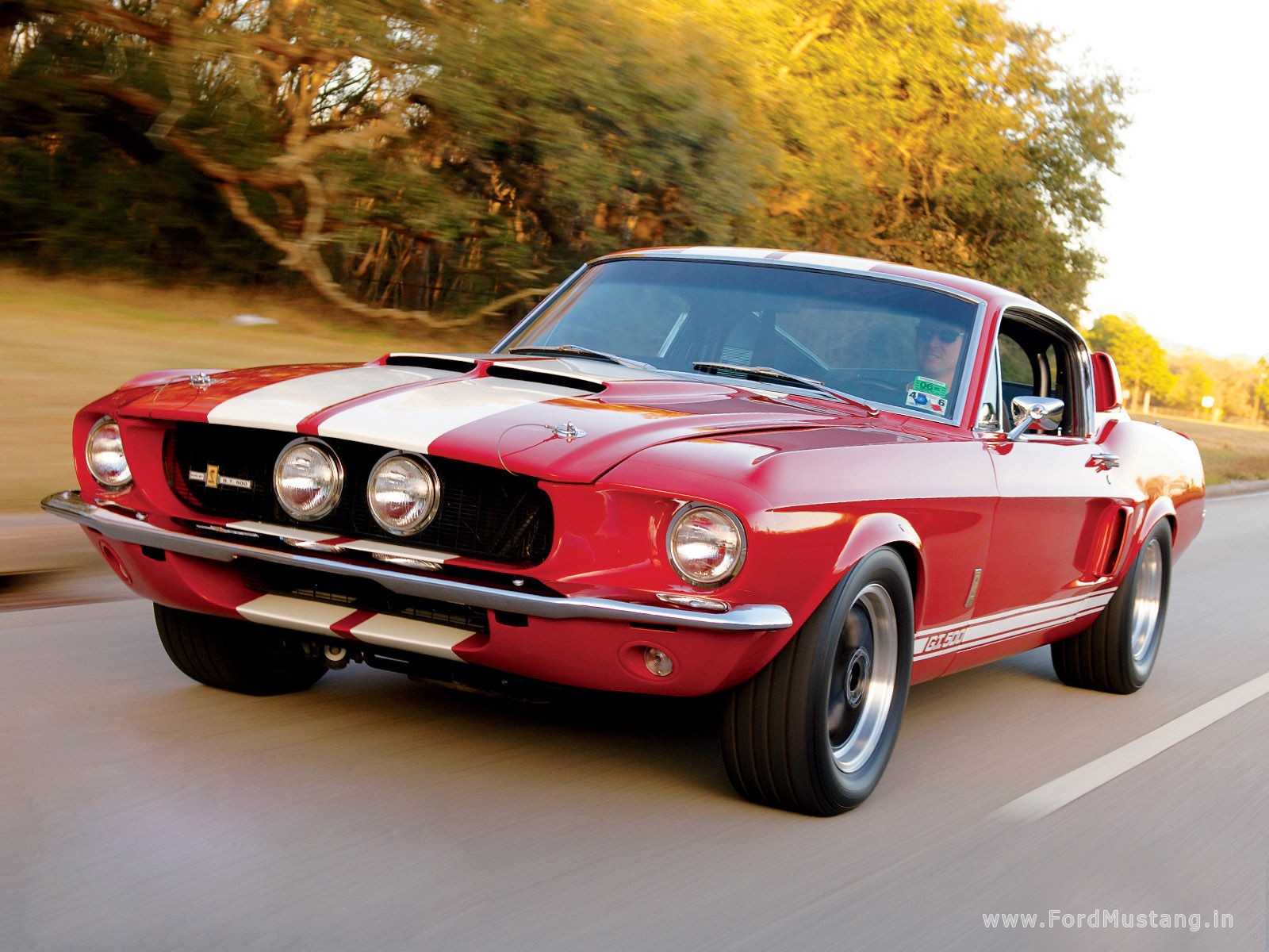 Ford Shelby 1967 foto - 3