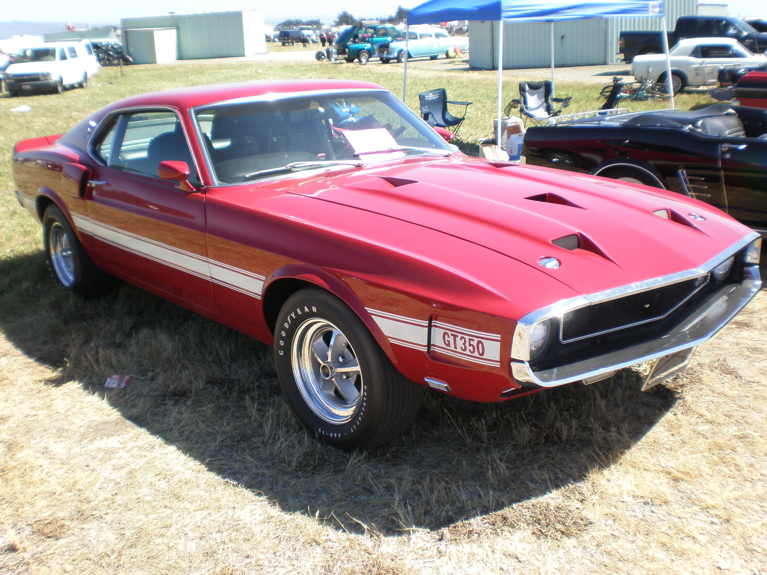 Ford Shelby 1969 foto - 5