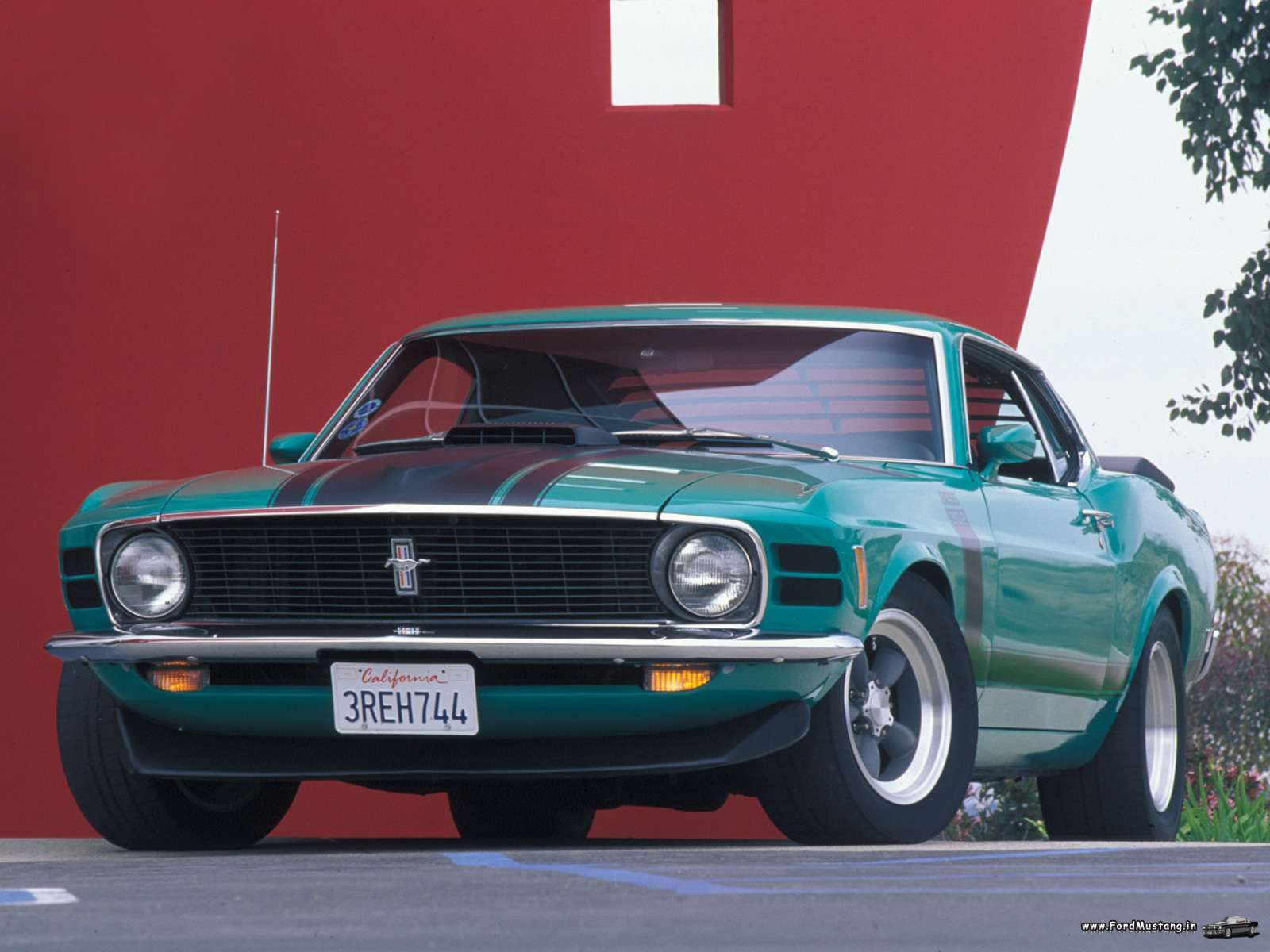 Ford Shelby 1970 foto - 2