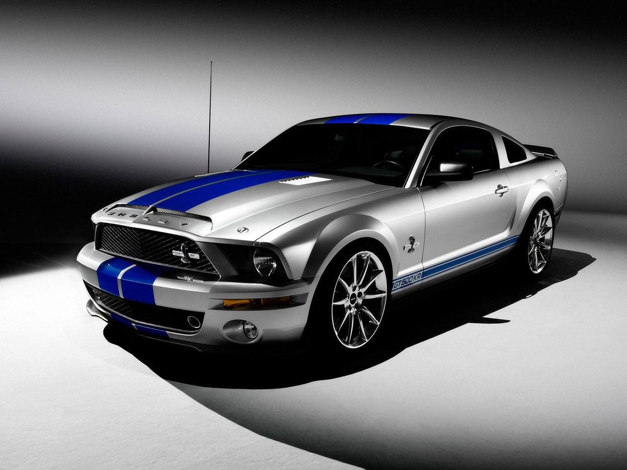 Ford Shelby 2010 foto - 1