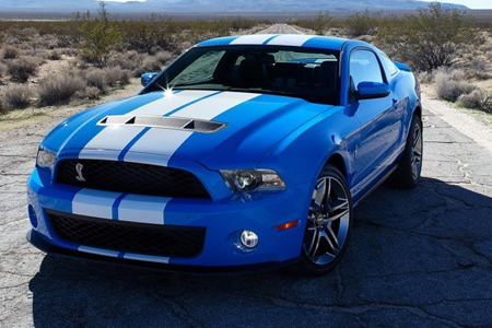 Ford Shelby 2010 foto - 3
