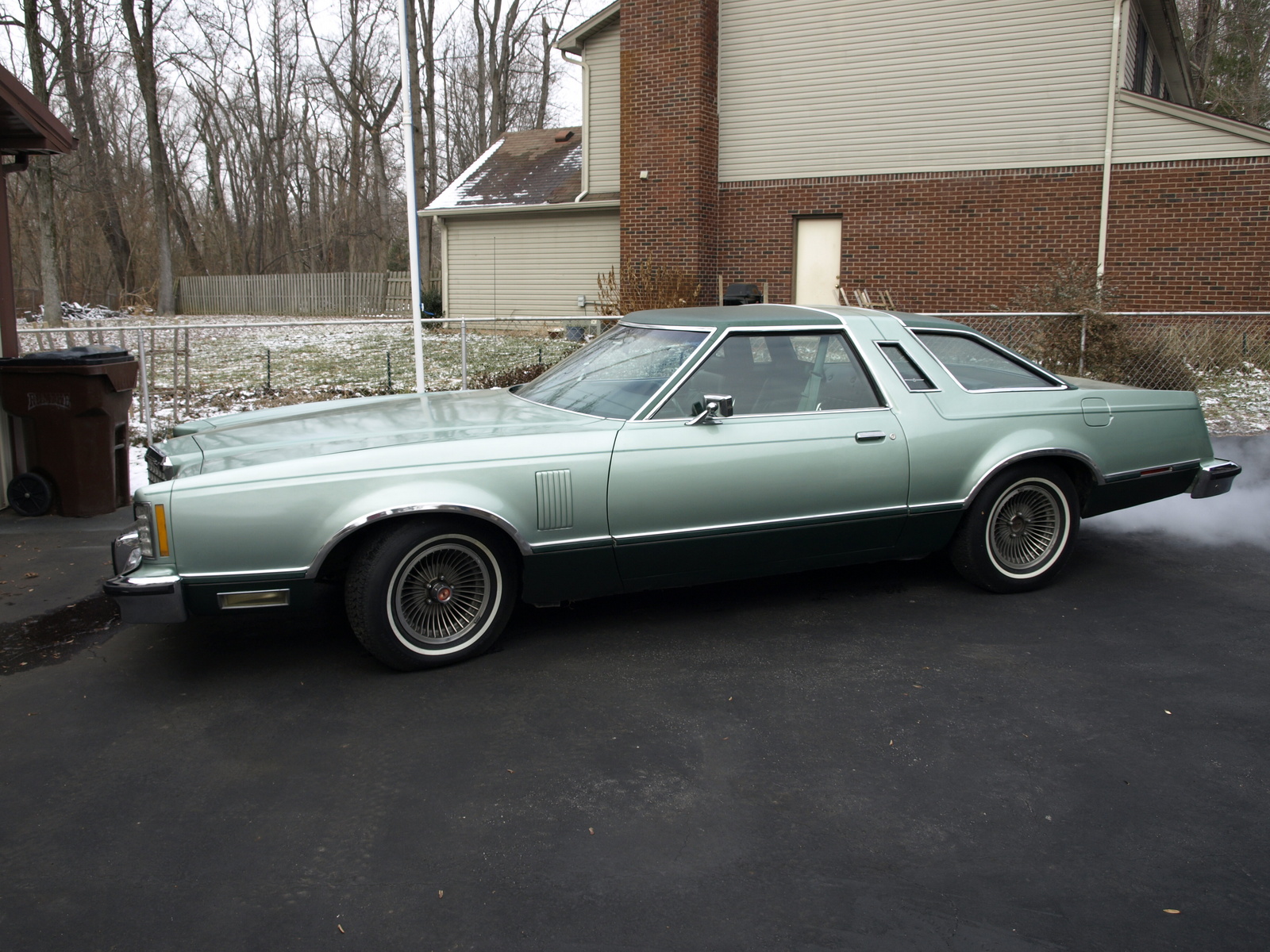 Ford Thunderbird 1978 foto - 1